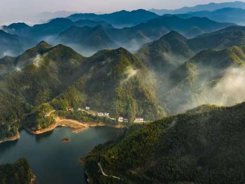 竹海深處有人家